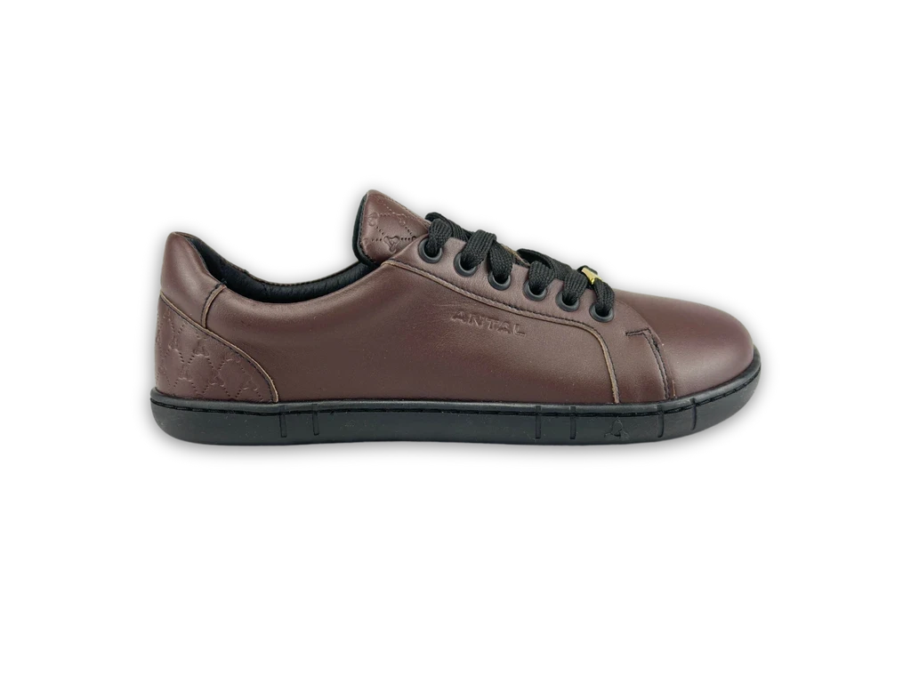Кроссовки Antal Amada — коричневый, фото 4